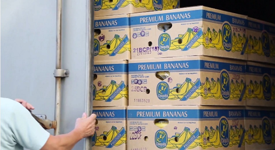 Kokaint találtak a berlini Lidlnek szállított banánfürtök között