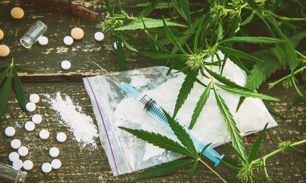 Őrizetbe vettek egy újvidéki drogdílert