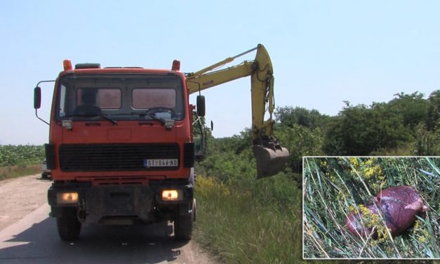 Ópázova: Egy tonna belsőség a csatornában