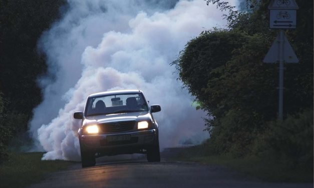 Szúnyogirtás kezdődik Szabadkán