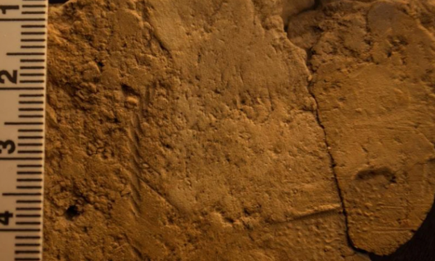 Ötezer éves textíliára utaló lenyomatot találtak Skóciában