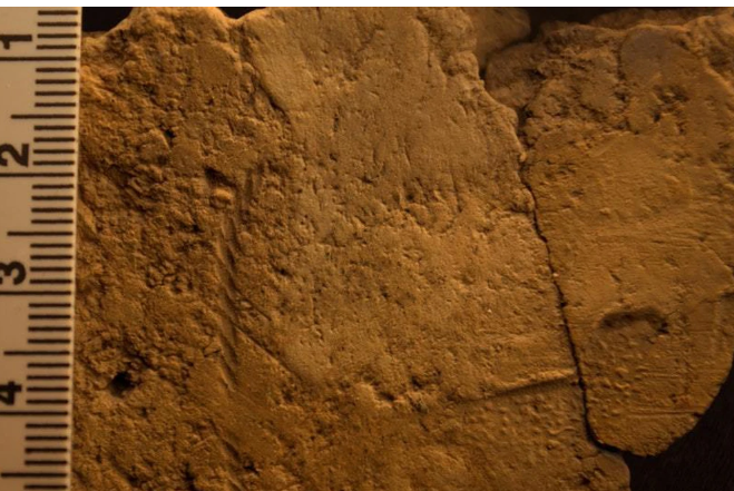 Ötezer éves textíliára utaló lenyomatot találtak Skóciában