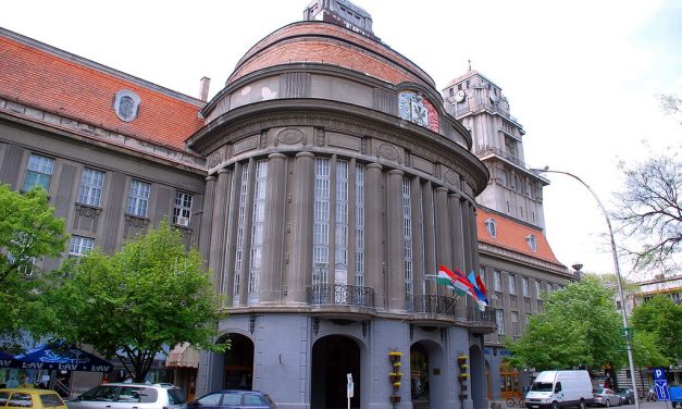 Homolya: Sok a felelőtlen kutyatartó Zentán, nem élnek az önkormányzat adta lehetőséggel