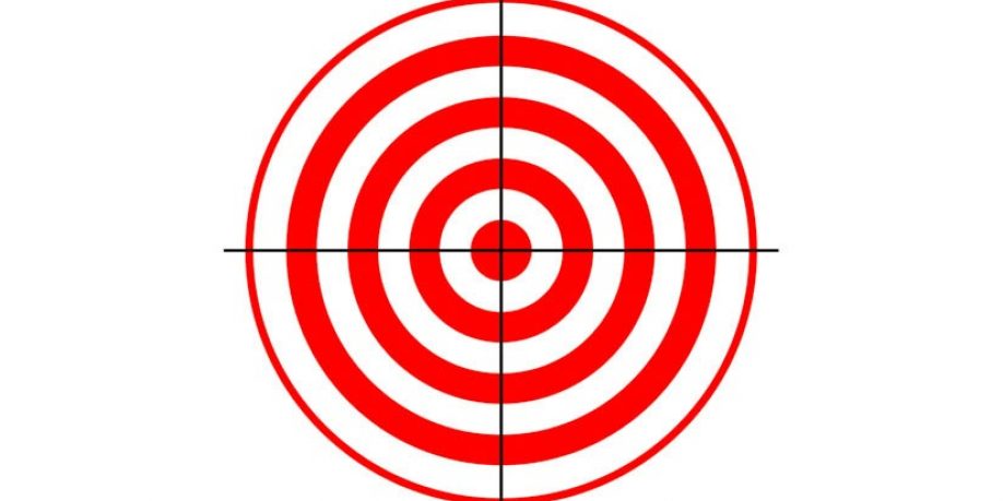 <span class="entry-title-primary">Állami célkeresztben a civil szervezetek és a független sajtó</span> <span class="entry-subtitle">Száznegyvenkét szervezet és egyén közös közleményben utasítja el az alaptalan vádakat</span>