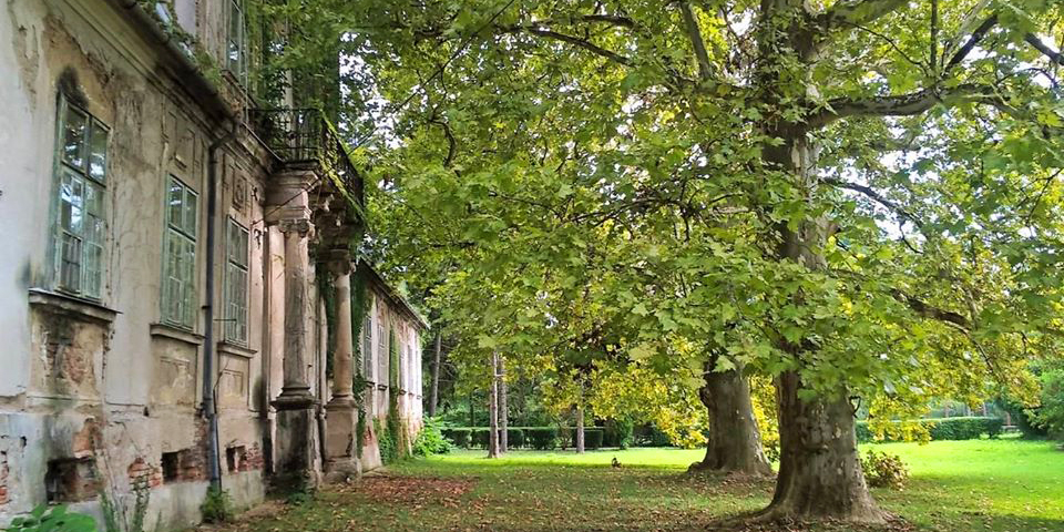 <span class="entry-title-primary">Válassza meg az Év Fáját!</span> <span class="entry-subtitle">Idén is különleges fák versenyeznek</span>