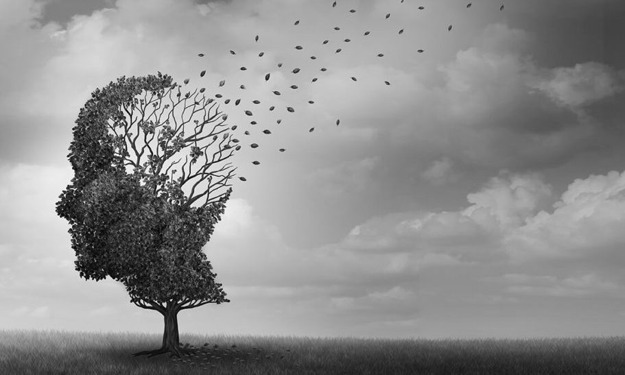 Sikerült visszafordítani az Alzheimer-kórral járó emlékezetromlást egereknél