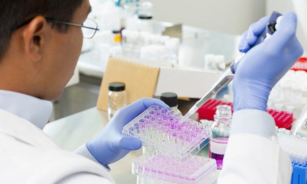 Nem tudják feldolgozni a teszteket, lefagyasztják a törleteket