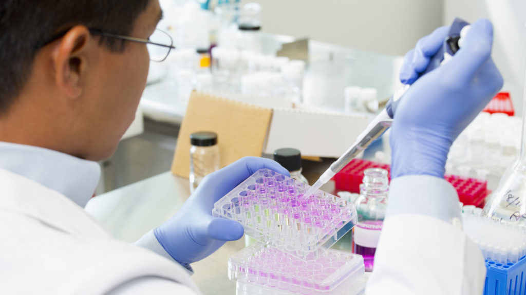 Nem tudják feldolgozni a teszteket, lefagyasztják a törleteket