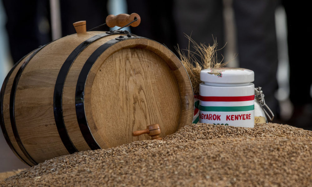 Összeöntötték a Magyarok Kenyere programban felajánlott búzát