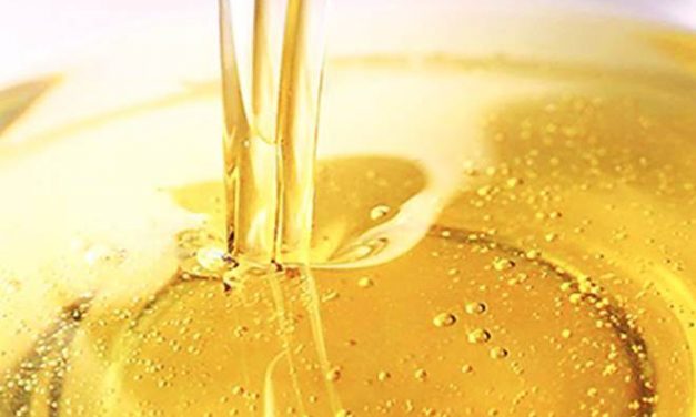 Az MK Csoport megveszi a nagybecskereki Dijamantot