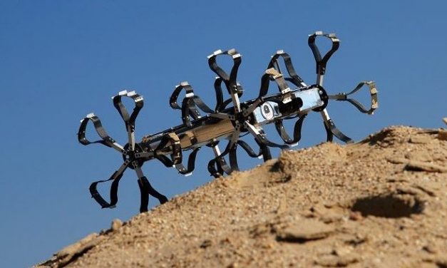 Első díjat nyert el a NASA pályázatán a magyar Puli Space