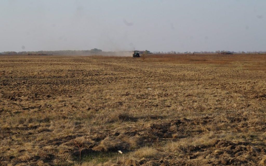 Százezer dináros pénzbírság a természetvédelmi rezervátum letarolásáért