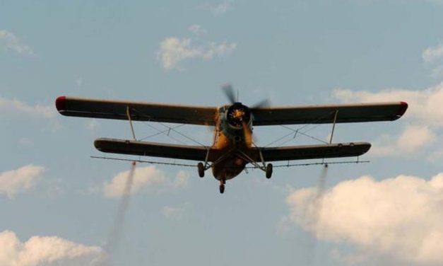 Szúnyogirtás kezdődik Szabadkán