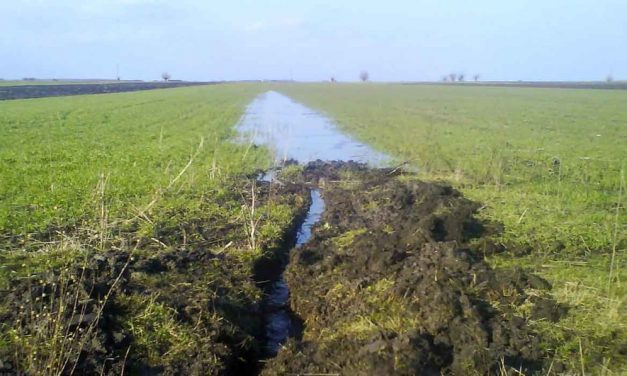 Érkezik a vízlecsapolási illeték a vajdaságiaknak