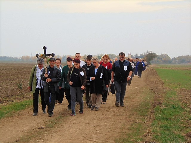 <span class="entry-title-primary">Szent Rókus tiszteletére</span> <span class="entry-subtitle">Lassan visszatér a normális élet a templomokba is, bár még mindig rigorózus előírások mellett lehet csak istentiszteletet tartani</span>