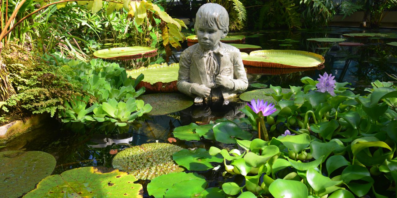 <span class="entry-title-primary">Kulturális örökség hétvége</span> <span class="entry-subtitle">A járvány ezt nem tudta tönkretenni</span>