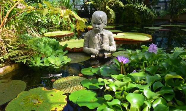 Kulturális örökség hétvége