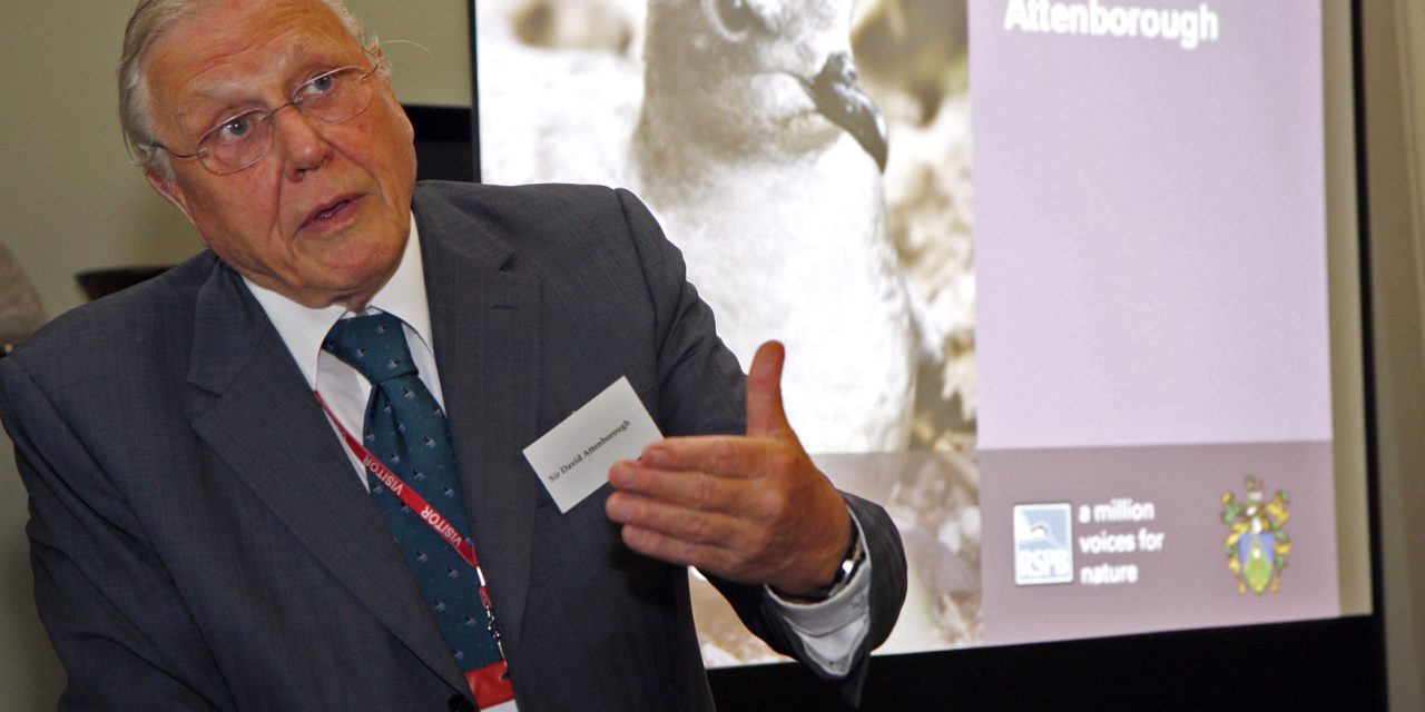 <span class="entry-title-primary">David Attenborough rekordot döntött az Instagramon</span> <span class="entry-subtitle">Sosem késő elkezdeni</span>