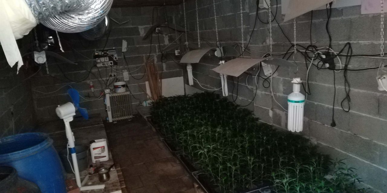 Felszámoltak egy bánáti droglabort
