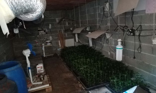Felszámoltak egy bánáti droglabort
