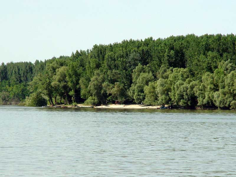 Gyilkossággal gyanúsított nő holttestére bukkantak a Dunában