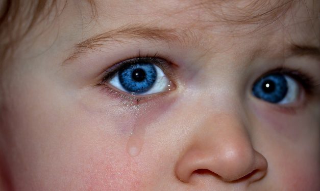 Ketrecbe zárva haldokolnak a szerbiai gyermekotthonok sérült lakói