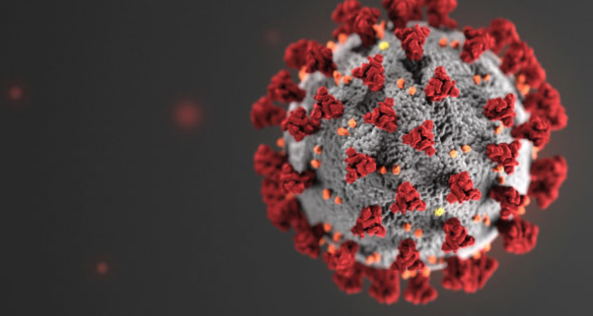 Könyörgöm, hallgassák meg Hofi tanácsát!