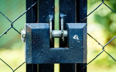 Azt hiszi nagy az adótartozása? Ők a legnagyobb adósok az idén Vajdasági vállalatok is szerepelnek a listán