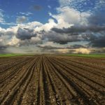 Hétfőtől lehet pályázni a területalapú támogatásra