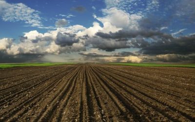 A magyaroktól elszedik a földjeiket