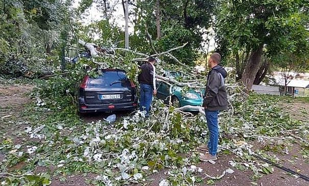 Nyárfa dőlt két autóra a Horgász-szigeten