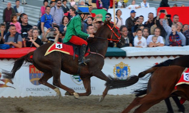 <span class="entry-title-primary">Már nemcsak a magyarok, a lovak is elvándorolnak Vajdaságból</span> <span class="entry-subtitle">A Nemzeti Vágta döntőjében idén több vajdasági lovas lesz, mint gondolnánk</span>