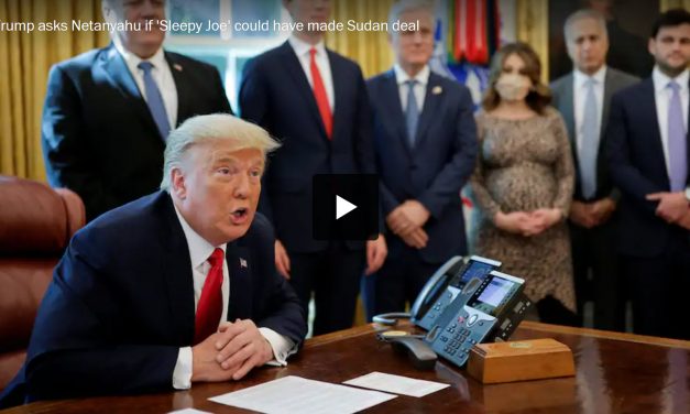 A haza szolgálatában