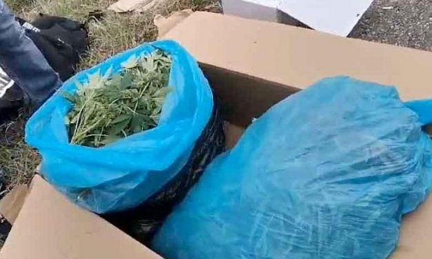 A hétvégén 170 kiló drogot foglalt le a szerb rendőrség (fotók)
