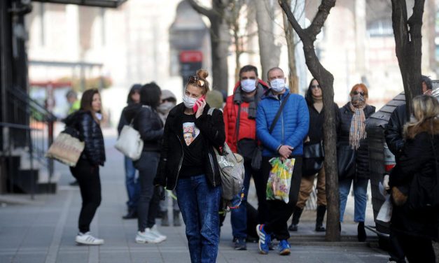 A vírus és a vajdasági magyar