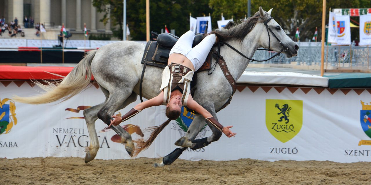 <span class="entry-title-primary">Vajdaság lovasai idén is gondoskodnak róla, hogy ne legyen unalmas a Nemzeti Vágta</span> <span class="entry-subtitle">Az átlagnál több vajdasági versenyző lép pályára a Hősök terén</span>