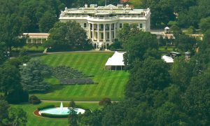 A Fehér Ház gyepén legelészett már tehén, birka, kecske, sétáltattak alligátort, több oposszumot, mosómedvét, most új lakóit várja az elnöki rezidencia (Fotó: Szappanos Veronika)