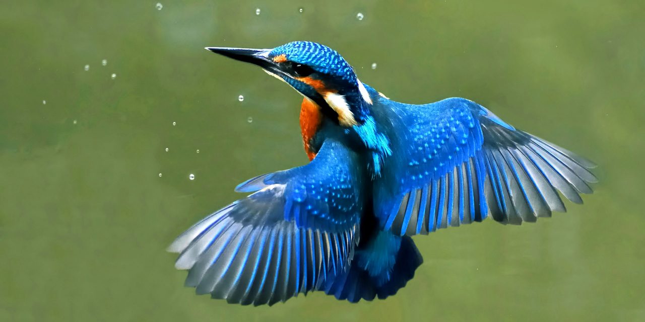 <span class="entry-title-primary">Ma kezdődnek a „boldog, szép napok”</span> <span class="entry-subtitle">Az ünnepi időszak közepén a betlehemi csillagot is megláthatjuk</span>