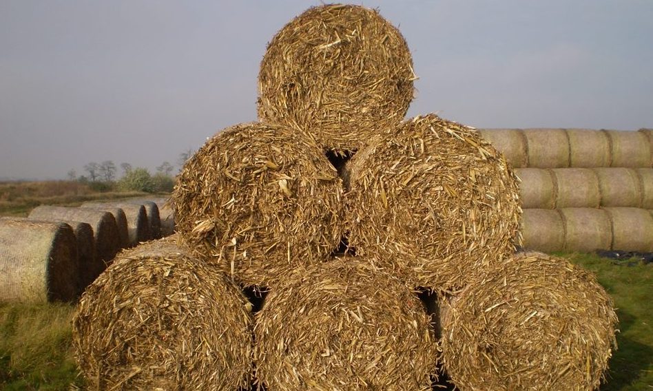 Bocsáron felgyújtotta magát egy 28 éves férfi