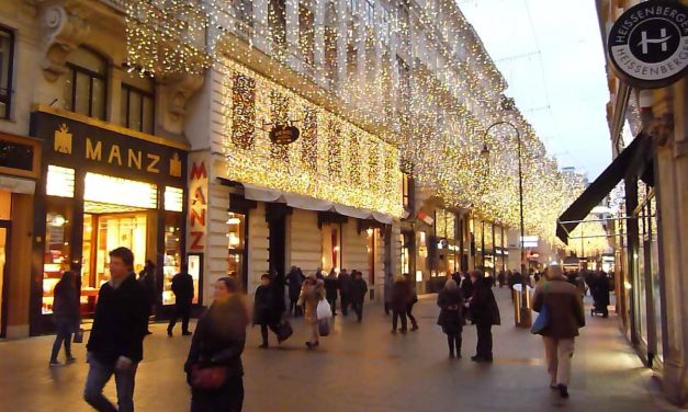 Fegyvereket és náci relikviákat találtak egy Bécsben élő magyar férfinél (Fotók)