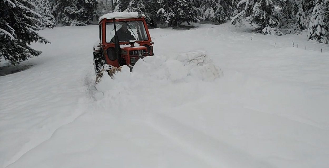Tizenkét napja áram nélkül egy szerbiai település