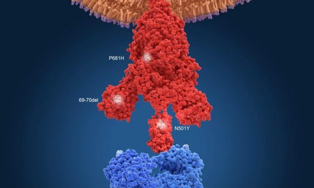 Horvátországban is felbukkant a fertőzőbb delta variáns