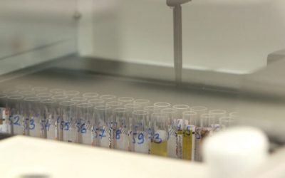 Vegyi fegyvernek minősülő szereket találtak egy egyetemi laborban Budapesten