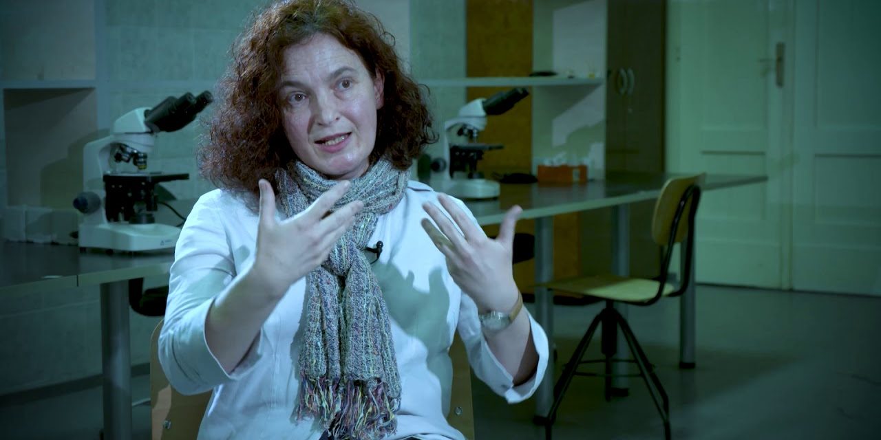 <span class="entry-title-primary">„Amivel oltanak, azt kell felvenni!”</span> <span class="entry-subtitle">Maja Stanojević virológus, az Egészségügyi Világszervezet szaktanácsadója a koronavírus elleni védőoltásokról</span>