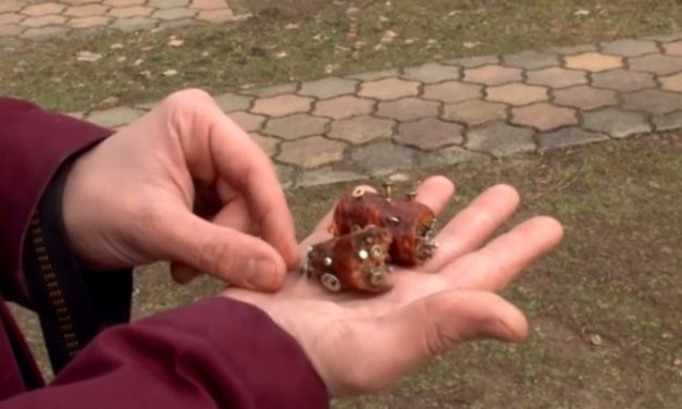 Szöges kolbászdarabokat dobált be az udvarra, a kutyát meg kellett műteni