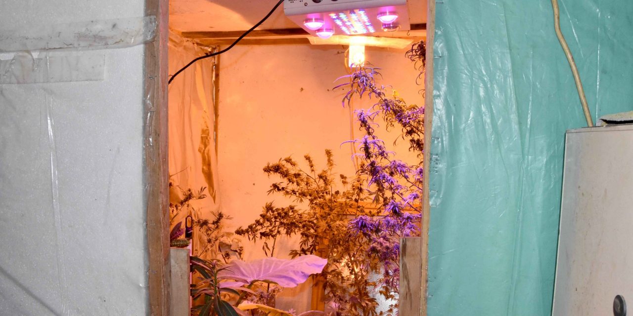 A győzelem után nagyon közel a győzelem