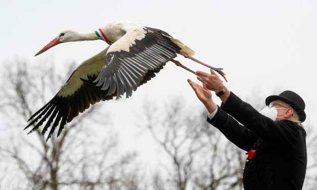 <span class="entry-title-primary">Csöndes március 15.</span> <span class="entry-subtitle">A gólyák örültek legjobban – Ünnepi anziksz Magyarországról</span>