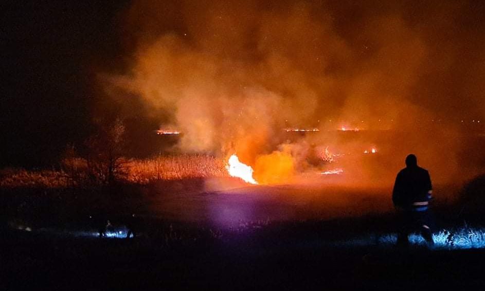 Harminc hektárnyi védett terület égett le Horgoson (Videóval)