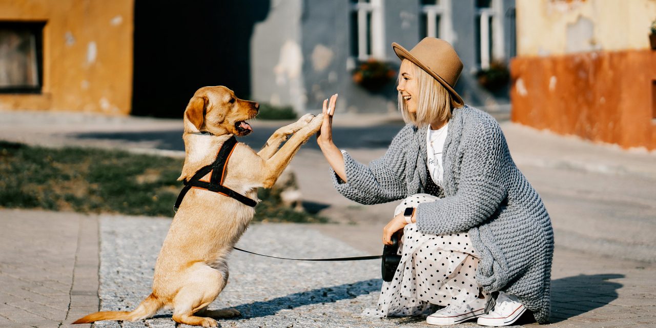<span class="entry-title-primary">Szerbia nagyot lépett előre boldogságban, Magyarországon nem változott a helyzet</span> <span class="entry-subtitle">Megjelent a világ országainak „boldogságjelentése” – De vajon mit ér ez így?</span>