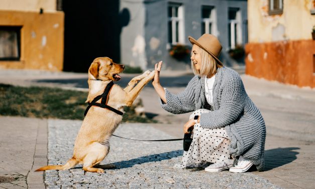 Szerbia nagyot lépett előre boldogságban, Magyarországon nem változott a helyzet